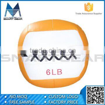 Promotional High Quality Exercise Wall Ball