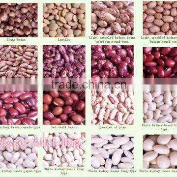 2014 Crop Cheapest Light Speckled Kidney Beans, LSKB , 220-240pcs photo-3
