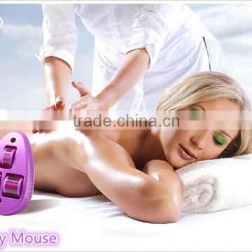 2015 Beauty Mouse New Derma Roller