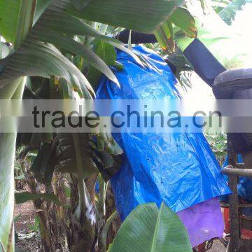 Banana Bunch Covering Tools