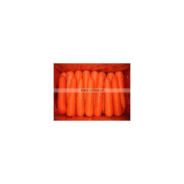 Chinese fresh carrot 9kg carton