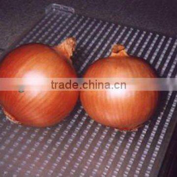 fresh yellow onions different packing 10kg/20kg mesh bag