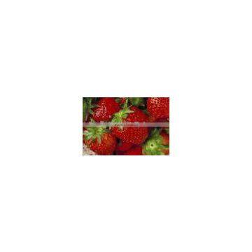 freeze dried strawberries in freeze dried strawberries N.W820g