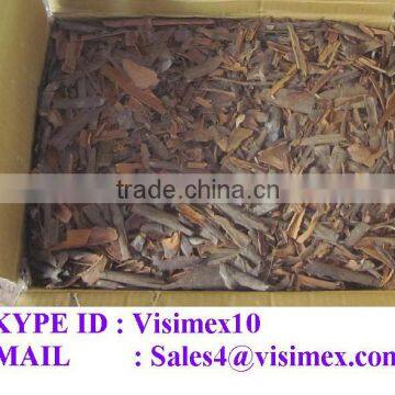 BROKEN CASSIA FROM VIETNAM 100% ORIGIN