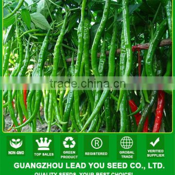 JP09 Lamei hot sale high yield hot pepper seeds, chilli pepper seeds f1