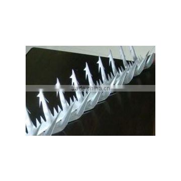 ISO9001:2008 high quality Razor Spike with best competitive price (Alibaba China supplier)