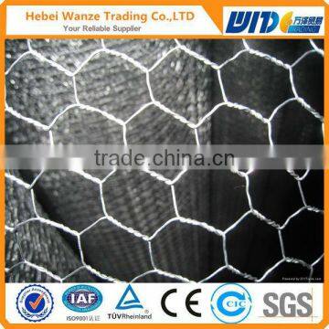 1/2'',3/4'',3/8'' anping hexagonal mesh/pvc coated anping hexagonal mesh (factory)