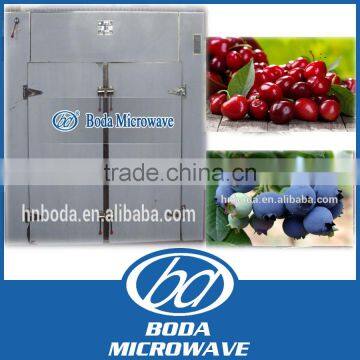 Hot Air Circulating Oven Fruit and Vegetable Drying Machine/dehydrator photo-3