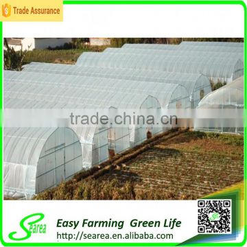 Hot dip galvanized steel frame greenhouse for agricultural