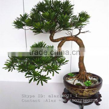 Wholesale Artificial Home Bonsai Tree for Sale Live Cypress Tree photo-2