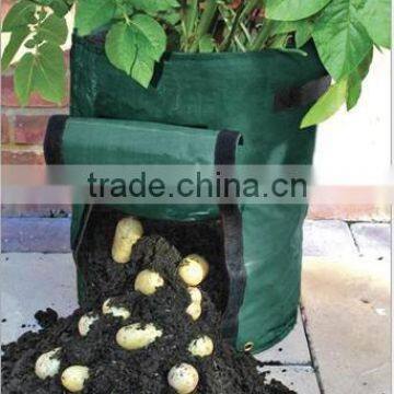 New Design Eco Friendly Flower Pot