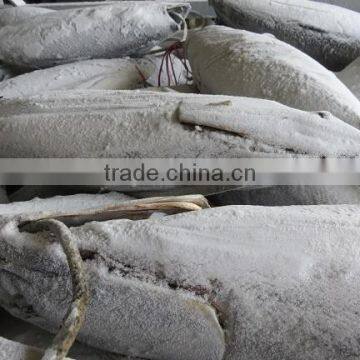 2016 Super Frozen Fish Skipjack Tuna 1.8kg up photo-3