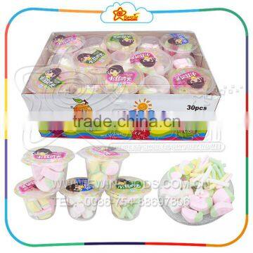 Assorted Small Cup Fruit Flavor Marshmallow