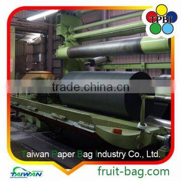 TPBI Wax Apple Bell Fruit Protective Cover Paper Bag photo-2