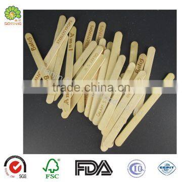 brands printed wooden ice cream stick with paper packing