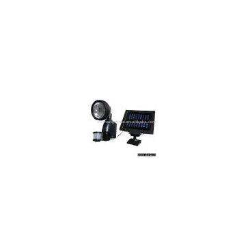 Solar Induction Light