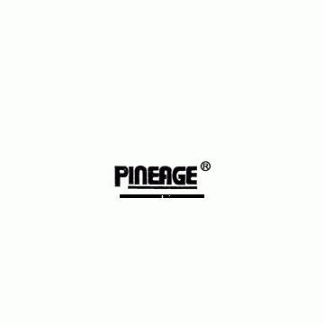 Guangzhou Pineage Electronic Co., Ltd.