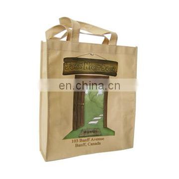 Elegant Classic Nonwoven Bag