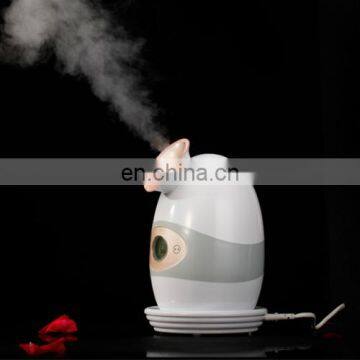 Facial SPA Steamer with Heat & Cold steam