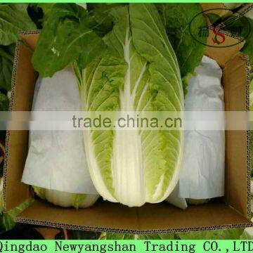 Crystal cabbage Chinese exporters /Major export southeast Asia, Japan, South Korea