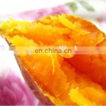 Stainless Steel Roasted Sweet Potato Machine photo-5