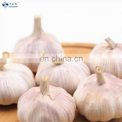 Low Price Fresh Garlic for Wholesale photo-2