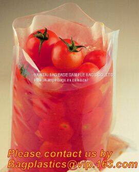 Labplas | Sterile Sampling Bags and Kits | Labplas, Sample Bags | Fisher Scientific, Sampling Bags - Lab Consumables photo-3