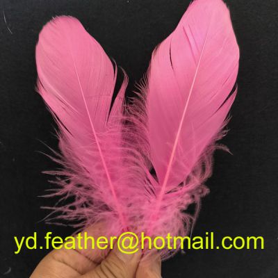 good quality pink goose feather for wholesale from China