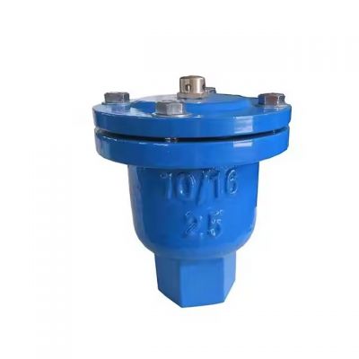 Ductile Iron Threaded Ends Single Orifice Air Vent Release Valve