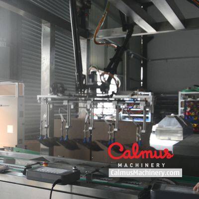 Snack Bags Case Packer Machine and Packaging Line photo-2