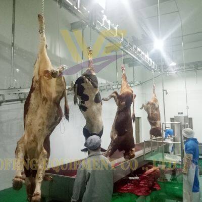 High Efficiency Automatic Halal Cattle Slaughtering Equipment Cattle Slaughter Production Line photo-5
