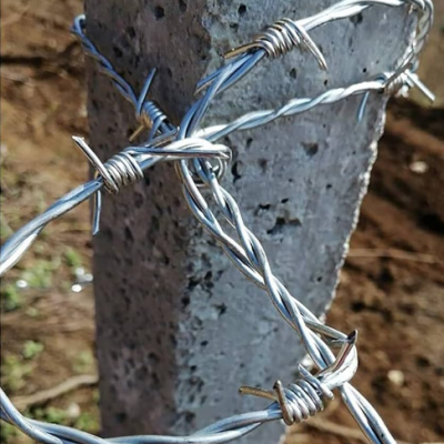 Razor Wire, Galvanized Razor Wire, Razor Wire Rolls photo-4