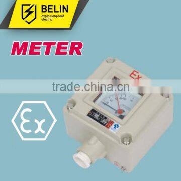 Explosion proof Meter