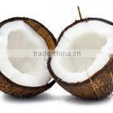 Coconut Production in Pollachi for Exports