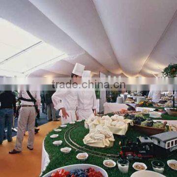 Elegant Catering Tent NEW