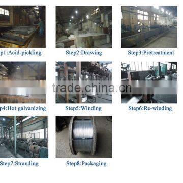 Galvanized Steel Cable/ ASTM A 475 Standard Steel Wire for Cable photo-5