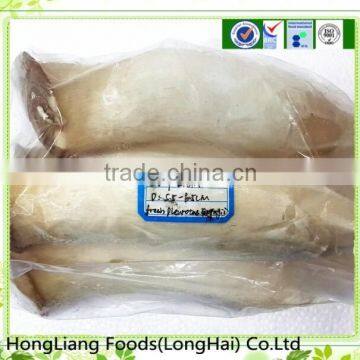 Great quality fresh Pleurotus Eryngii