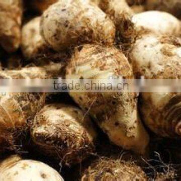 New Crop Taro Sale With Competitive Export Price