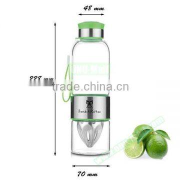 High Quality 500ml Fruit Infuser Water Bottle, Lemon Water Bottle photo-3
