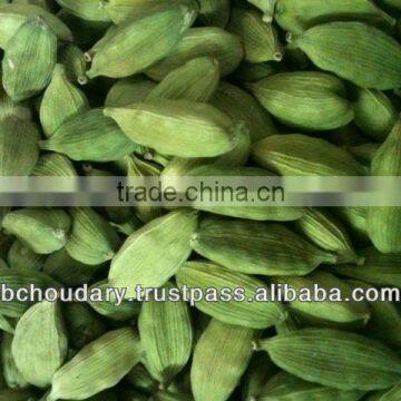 Green cardamom best quality available from india in bulk