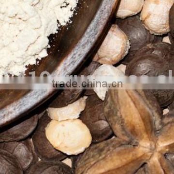 SACHA INCHI FLOUR/POWDER