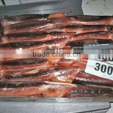 frozen argentina illex squid best selling products