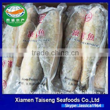 Frozen Yellow Croaker Fish Price