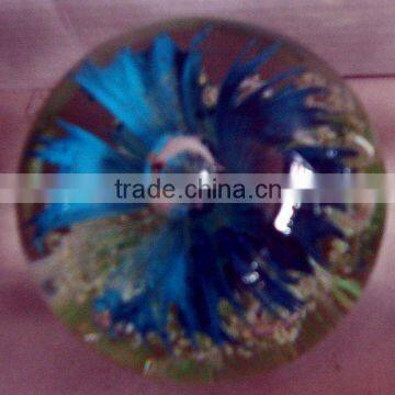 Murano Glass Paperweight for home decor