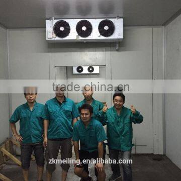 +15 to +8 C Cold Storage Room photo-5