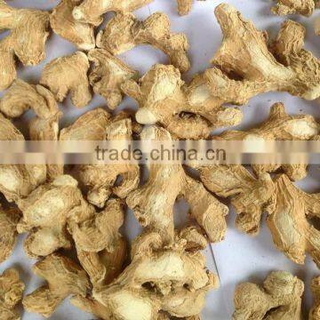 ORGANIC FRESH GINGER CALL ME: 0084 977132019 photo-5