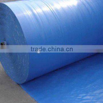 Poly Tarp (HDPE Tarpaulin)