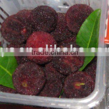 Chinese Fresh waxberry