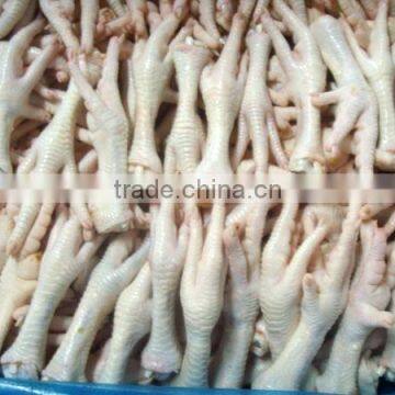 Grade A Frozen Chicken Feet and Paws