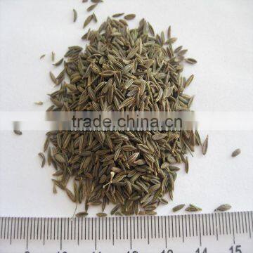 High Quality Spices & Herbs Cumin Seeds